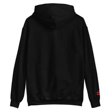 Load image into Gallery viewer, Embroidered Cigar and Whiskey DC Flag Unisex Hoodie