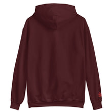 Load image into Gallery viewer, Embroidered Cigar and Whiskey DC Flag Unisex Hoodie