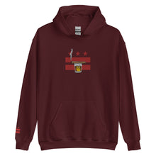 Load image into Gallery viewer, Embroidered Cigar and Whiskey DC Flag Unisex Hoodie