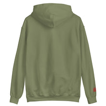 Load image into Gallery viewer, Embroidered Cigar and Whiskey DC Flag Unisex Hoodie