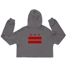 Load image into Gallery viewer, DC HONEY FLAG LOGO/DC FLAG ON THE BACK Crop Hoodie
